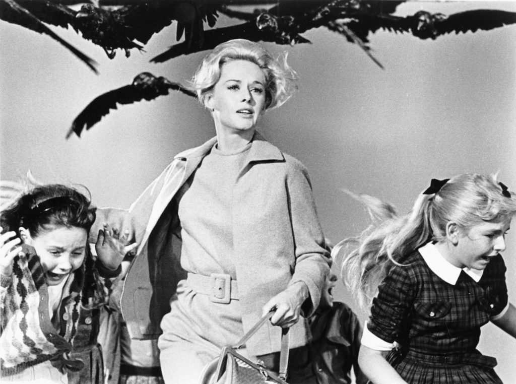 Alfred Hitchcock’s classic thriller “The Birds” (1963) is one of this year’s retrospective screenings at the Milwaukee Film Festival.